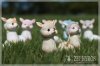 20161215103213cont8.jpg