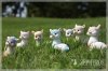 20161215103213cont9.jpg