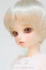 20190425104325cont.jpg