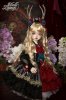 upload_2024-2-1_11-39-17.jpeg