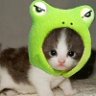 mogwog