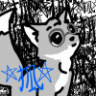 FoxintheStars