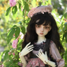 ann_lonea