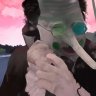 ZeddyBear