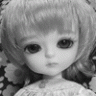 edelweiss