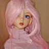 dollcollctr