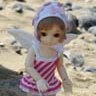angelfish