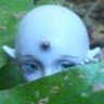 elfqueenvik