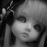 Iris_lalaala