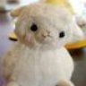 puddingneko