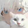 lexi_nyanko