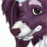 PapillonSaluki