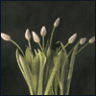 Nigredo