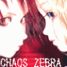 chaos_zebra
