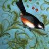 angelsfeather