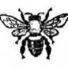 mjoonbug