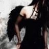 TheBlackFeathers