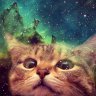 luna_neko