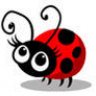 Miss Lady Bug