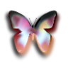 midi