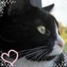 SnugEmsCats