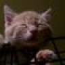 Amalthea