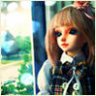 Maple