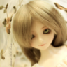 Siceria