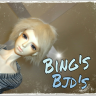 bingsbjds