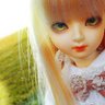 JollyRose