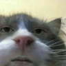 CallMeOniisan