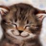 Hakuchan