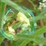 SoapBubbles