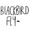 Blackbird