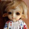 courtondolls