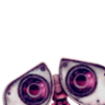 whimsu