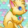 sugarpup