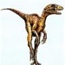 Eoraptor