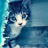 LittleWinter