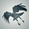 Little Crow