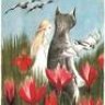 meadowflowers
