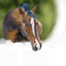 KiliaArts