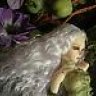 Silene