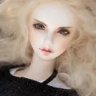 Dolleve