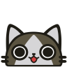 dovecoon