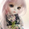 CloverAndHarp