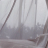plantgauze