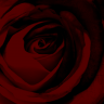 TheShadowQueen