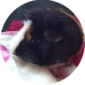 Mabari