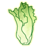 CarolettuceBJD